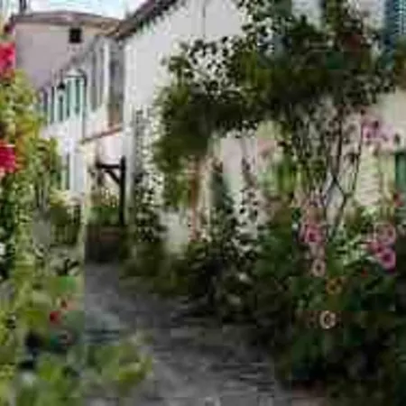 Au Coeur De St Martin : Les Grenettes *