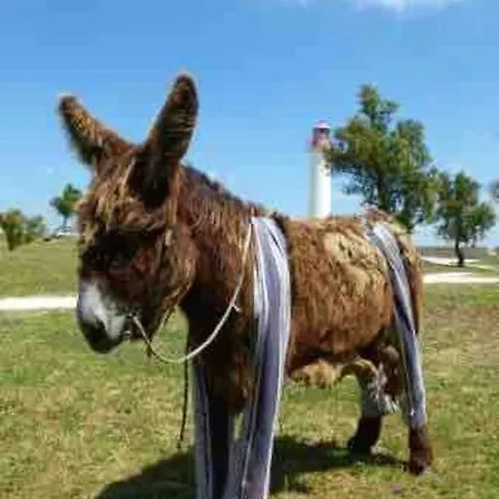 Apartment Au Coeur De St Martin : Les Grenettes